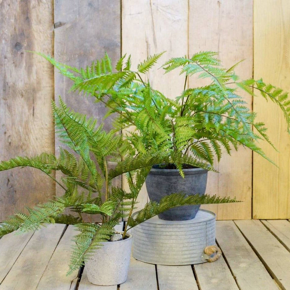 Faux Bracken Fern Bush In Pot